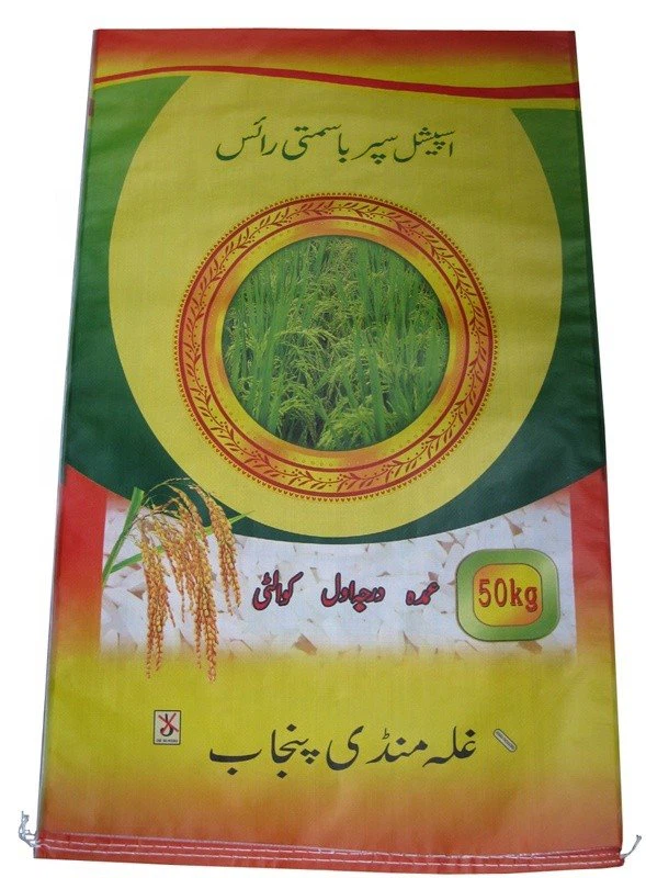 HTB19M6VXorrK1RkSne1q6ArVVXax